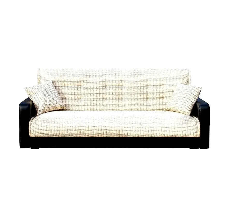 Futon Couch 1