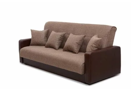 Futon Couch 1