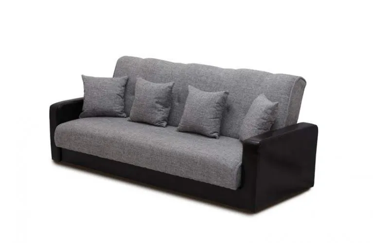 Futon Couch 1