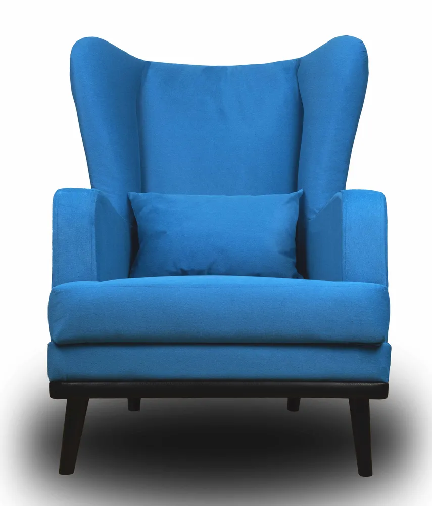 Soft Armchair Fantasizer 1