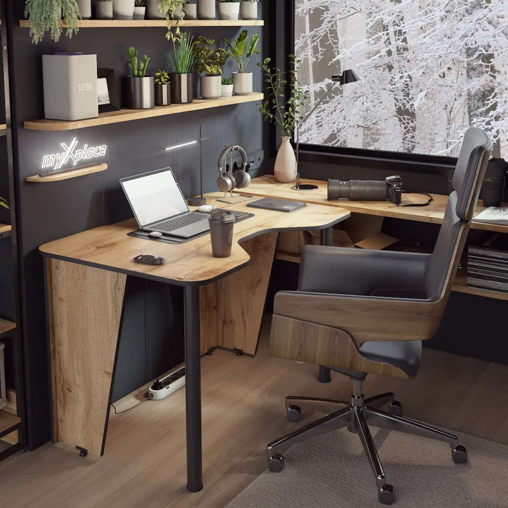 Gaming Computer Desk 1