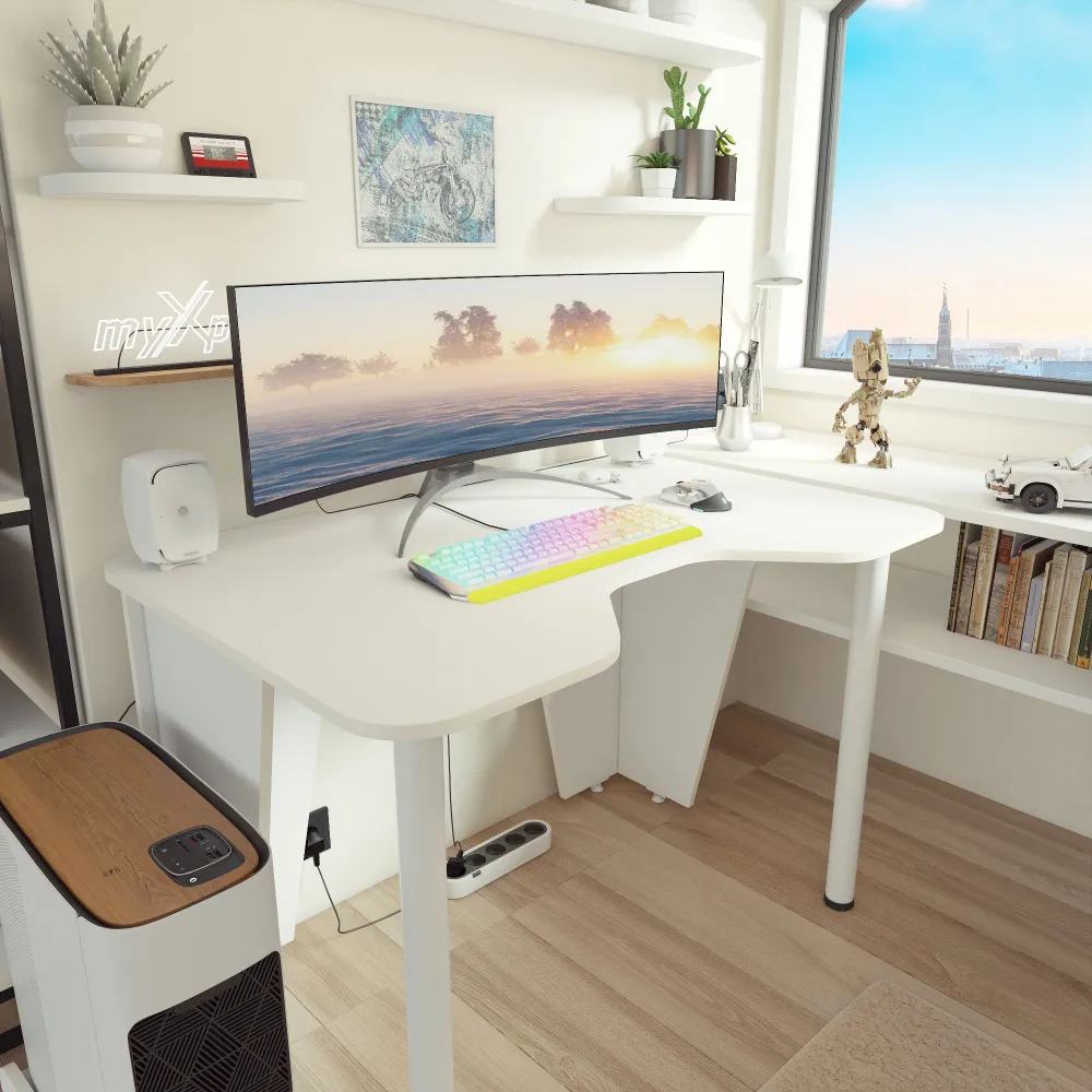 Gaming Computer Desk 1