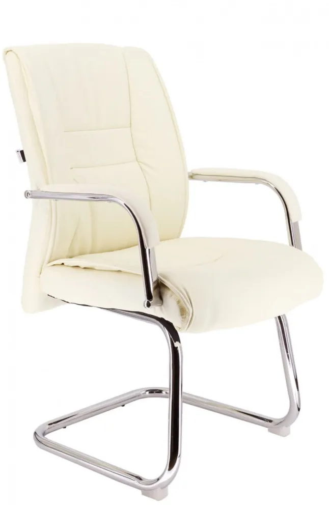 Orthopedic Chair 2