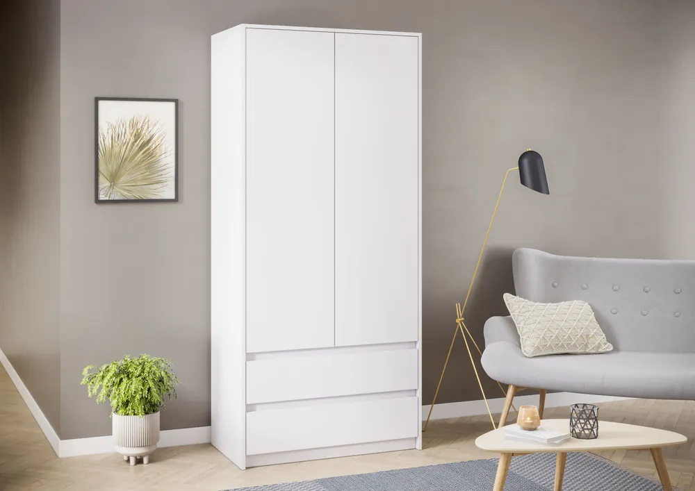 Hinged Door Wardrobe 2